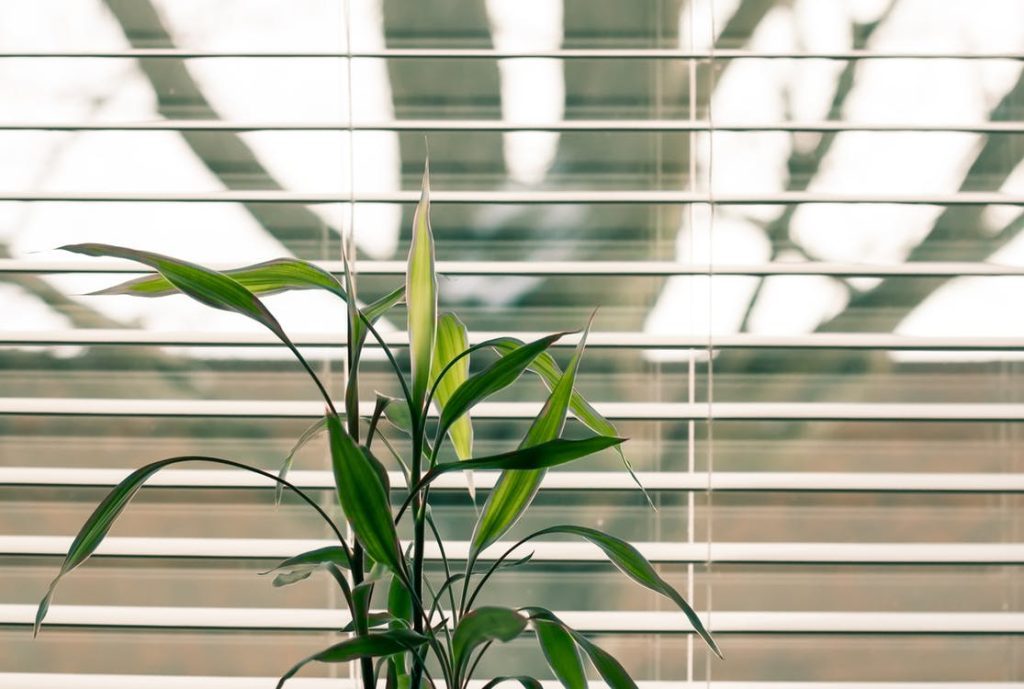 Spring into action with these window blinds ideas for your home
